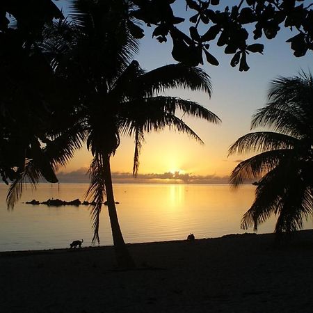 Tahiti - Taharuu Houses Surf & Beach Papara Экстерьер фото